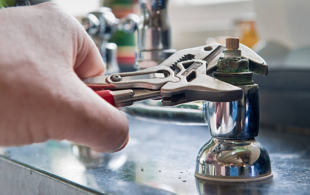 Best Carpet water damage restoration  in Elmer, NJ