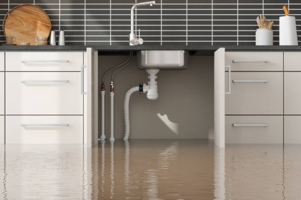 Best Water damage restoration near me  in Elmer, NJ